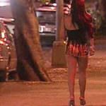 Liguria: Collaborazione tra lucciole e vigili a Genova, la Silipigni commenta