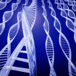 Sclerosi multipla, scoperto nuovo gene coinvolto