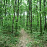 Il 2008 è l'anno del turismo in natura