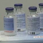 Influenza A. Ecco i vaccini approvati dall'UE