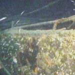 Dalla grande manifestazione di Amantea, una richiesta precisa: Basta regali alle ecomafie