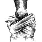 Sospetto caso di Bse: Coldiretti rassicura, gli allevamenti italiani sono sicuri