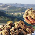 Toscana. San Miniato offre il primo Master del tartufo