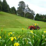 Credito: da "Agriconfidi" della Cia risposte valide alle esigenze delle imprese agricole sempre più in crisi