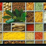 Sardegna: OR Katering organizza un convegno per promuovere la produzione sostenibile e la filiera corta