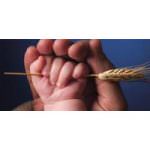 Roma ospiterà il primo NutritionCamp italiano