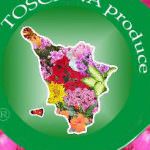 Il Consorzio Toscana Produce ricevuto dal Governatore della Regione Toscana Claudio Martini