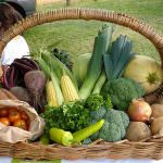 Nel Centro commerciale di Triggiano (BA) continua la vendita diretta di prodotti freschi