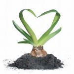 Biolife 2009: la Fiera del prodotto Biologico