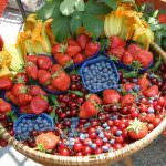 L'AGRITURISMO DI QUALITA' AMATO DAI TURISTI ENOGASTRONOMICI SVIZZERI