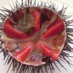 50 metri di focaccia ai ricci di mare: la sfida al Primato di Alghero