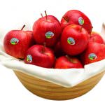 Con le mele bio della Val Venosta ora anche il loro vademecum