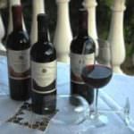 Vini calabresi: tanta qualità e schiettezza, proprio come tradizione millenaria richiede!!