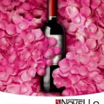 Veneto: A Verona l'anteprima del vino Novello 2009