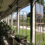 Prezzi: +22% in un giorno per serre calde