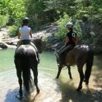 A cavallo per la Tuscia, al via le ippovie certificate