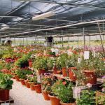 Via l'"accisa zero" per il gasolio da serra