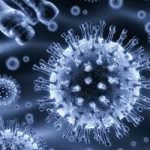 2013, un vaccino anti-influenza universale?