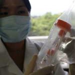 Influenza A e vaccino. In medicina, il rischio zero non esiste