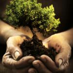 Giornata Mondiale della Terra: Agricoltura biologica per tutelare la biodiversità