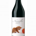 Mionetto: San Martino in cantina fra Novello e bollicine