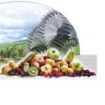 Internazionalizzazione: Confagricoltura ospita buyer della Germania nelle imprese ortofrutticole