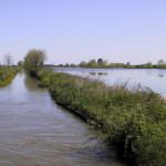 25-28 marzo, la risaia in mostra al Parlamento europeo