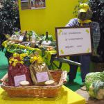 Valle d'Aosta: Si apre il bando per il mercato a km zero di Morgex