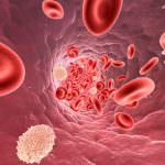 Colesterolo alto, pericoloso anche per i giovani