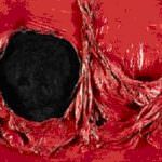 Burri e Fontana: Materia e Spazio