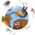 Cambiamenti climatici: In Italia potrebbe diventare difficile coltivare grano duro