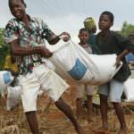 Fao: decisivo il ruolo dei piccoli agricoltori per contrastare fame e povertà