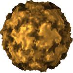 Influenza A. Il raffreddore blocca il virus