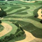 Contro la crisi dell'agricoltura serve progettualità non analisi