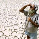 FAO: Coldiretti, razziati 15 mln di ettari