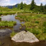 Fra i boschi del Ticino nasce l'oasi dell'energia verde