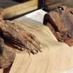 Egitto. Scoperte mummie con l'arteriosclerosi