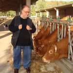 Alla scoperta della "bistecca a km zero" di Pozzo d'Adda