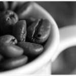 Fondata l'Associazione Caffè Italiani Certificati: "Difenderemo la qualità del caffè a casa e negli uffici"