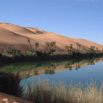 Libia e FAO rafforzano la loro cooperazione