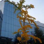 CRM: bontà come tradizione, tigelle, piadine e nuovi posti di lavoro