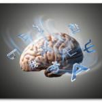 Cervello: una proteina cancella i vecchi ricordi