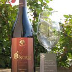 Onorio 2006 rosso Doc Colli Maceratesi si aggiudica il premio Top Hundred 2009