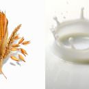 Prezzi: Coldiretti, grano e latte ai minimi da oltre venti anni