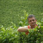 L'economia della Natura: Convegno internazionale di Agricoltura biodinamica