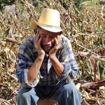 Crisi: un agricoltore su tre teme di essere costretto a chiudere l'impresa e sei su dieci hanno conti in rosso