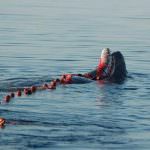 Fao: Firmato un trattato innovativo contro la pesca illegale