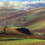 Con sempre meno paesaggio e terra per l'agricoltura nessuna prospettiva di crescita per il turismo