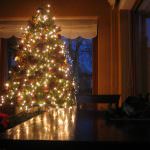 Natale: Coldiretti, all'insegna della campagna per un mln di italiani