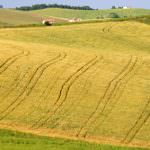 Confagricoltura Campania: "Senza agricoltura si muore"
